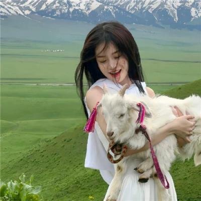 红白黑黄第二季